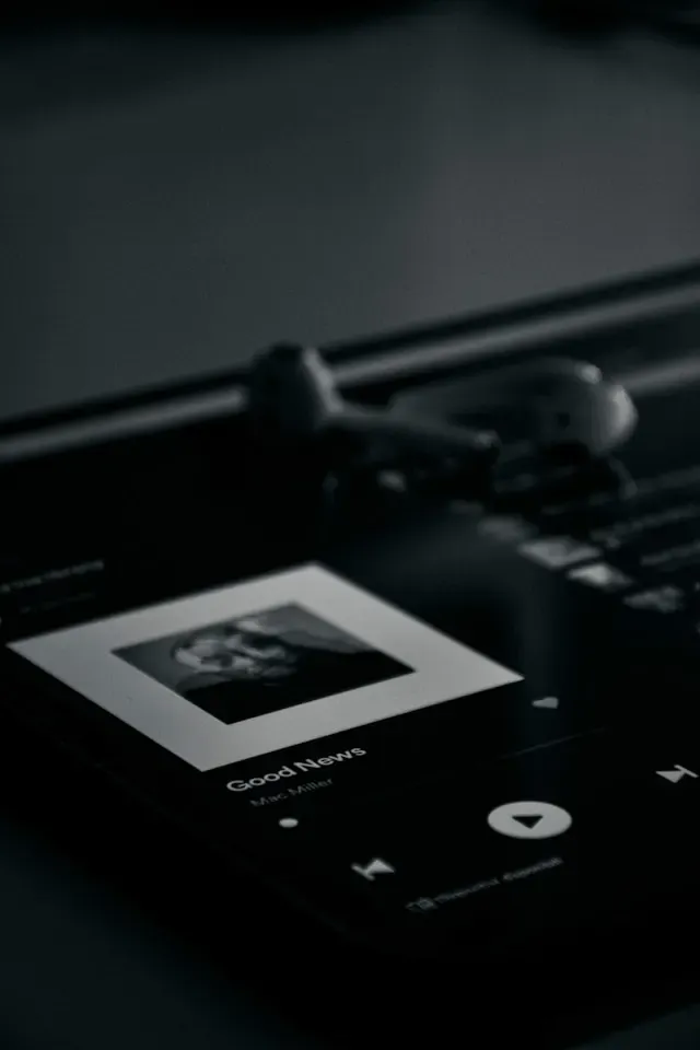 数字音乐平台支持